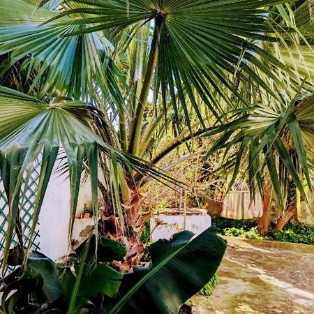 לוריניה Cozy 3 Bedroom Home - Close To Beach מראה חיצוני תמונה