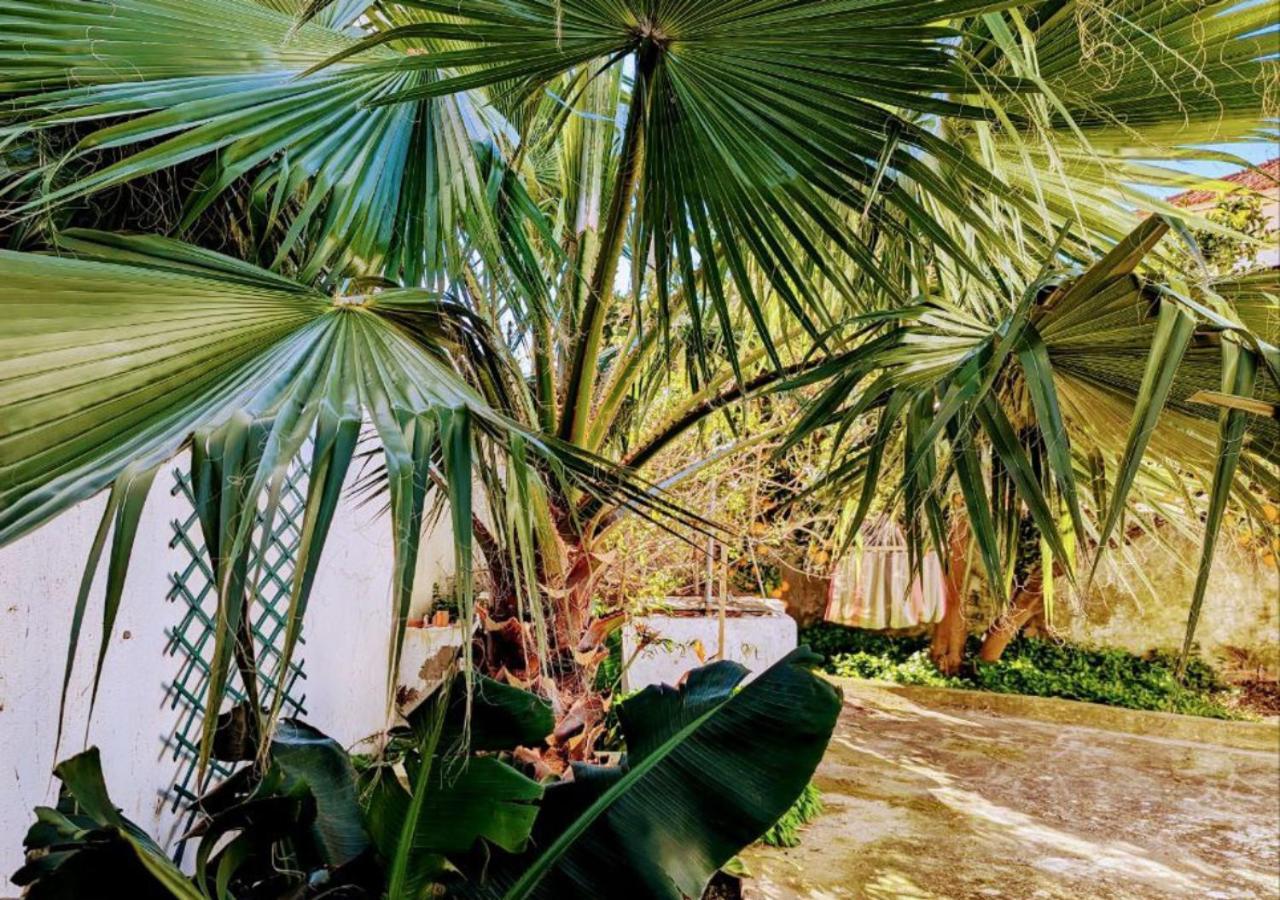 לוריניה Cozy 3 Bedroom Home - Close To Beach מראה חיצוני תמונה