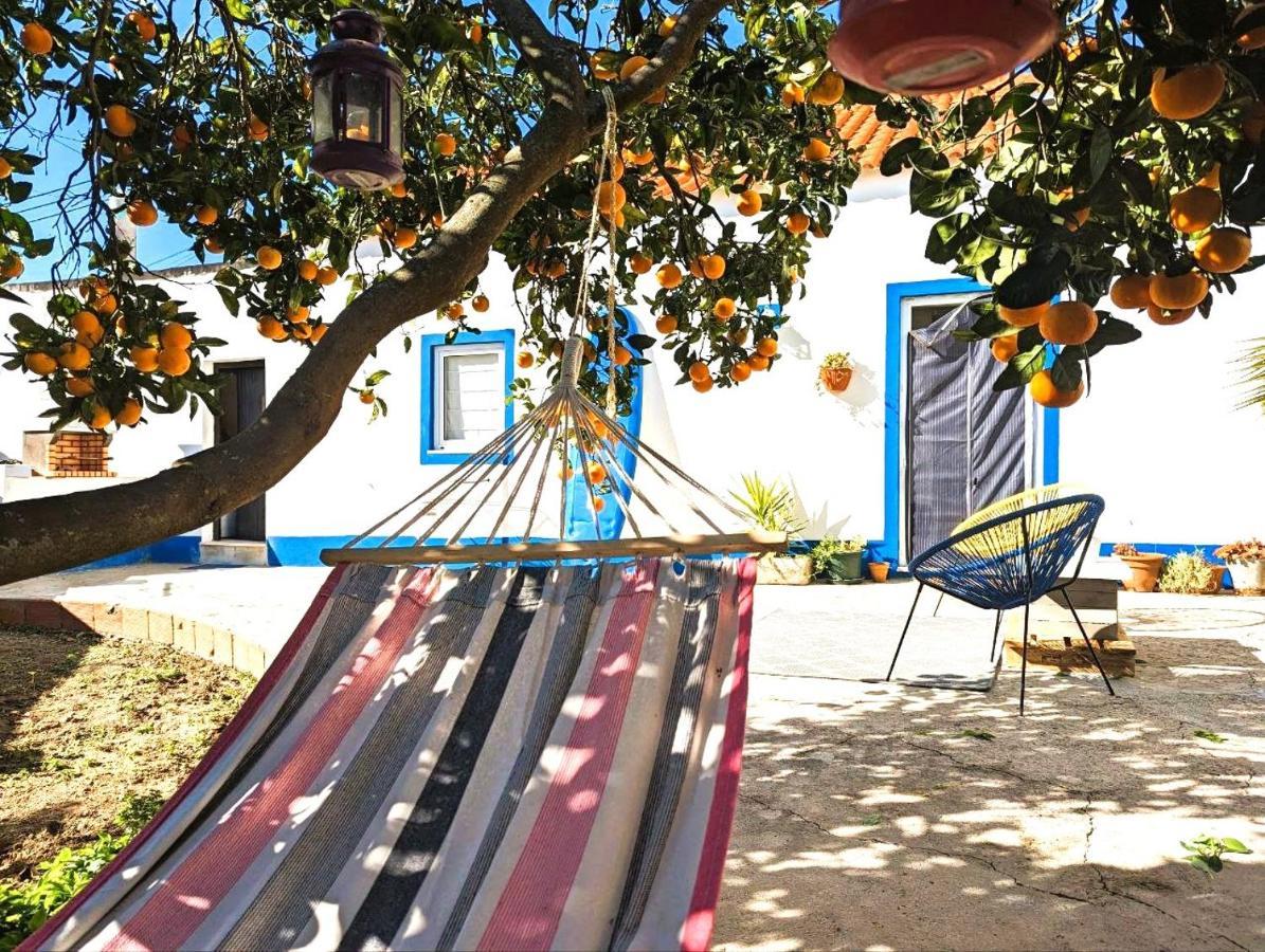 לוריניה Cozy 3 Bedroom Home - Close To Beach מראה חיצוני תמונה