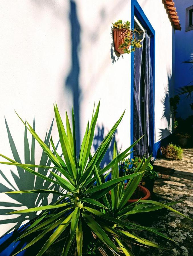לוריניה Cozy 3 Bedroom Home - Close To Beach מראה חיצוני תמונה